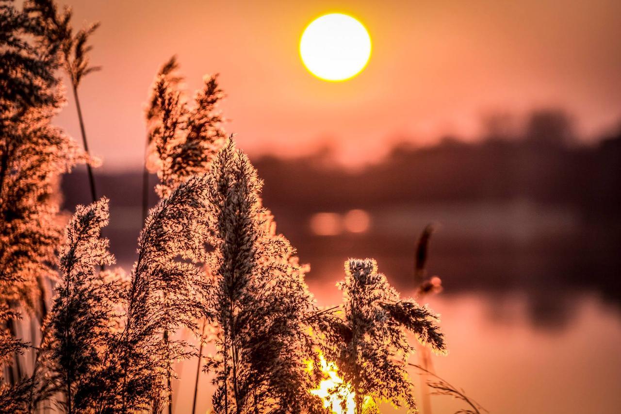 Hotel Marina Club 奥尔什丁 外观 照片 Sunset over the river